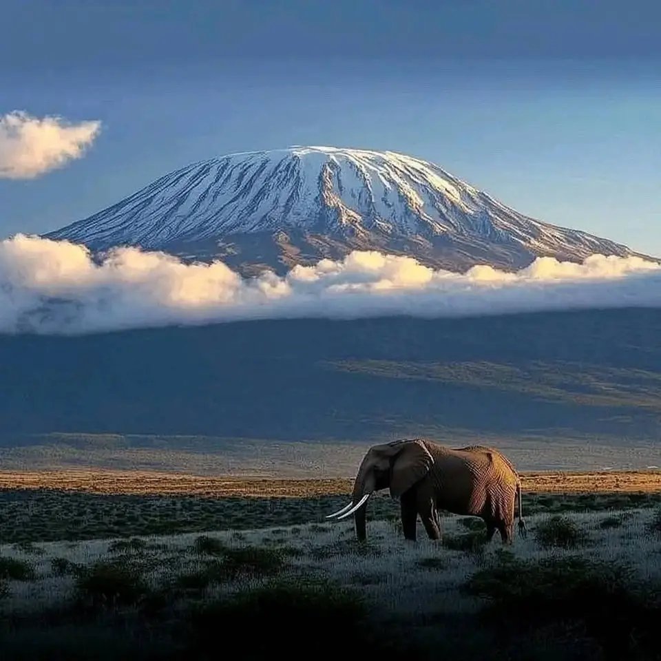 Amboseli