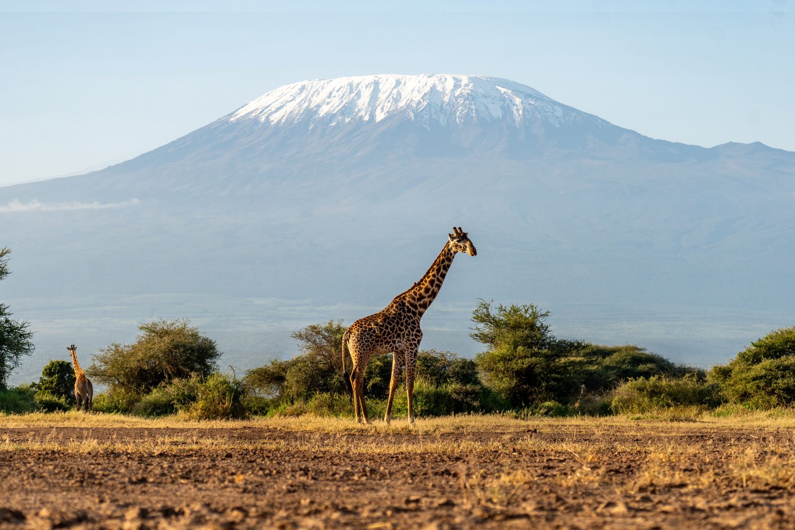 5-Day Amboseli, Tsavo West & Tsavo East Safari – Ends in Mombasa