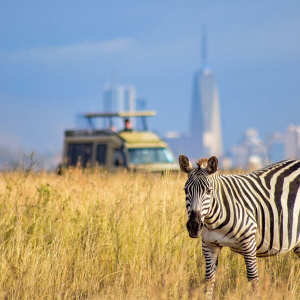 Kenya ultimate bucket list