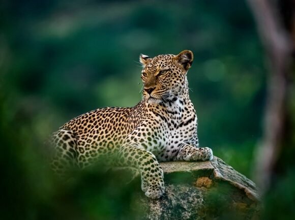 Exploring Kenya on a Budget: Affordable Adventures Await