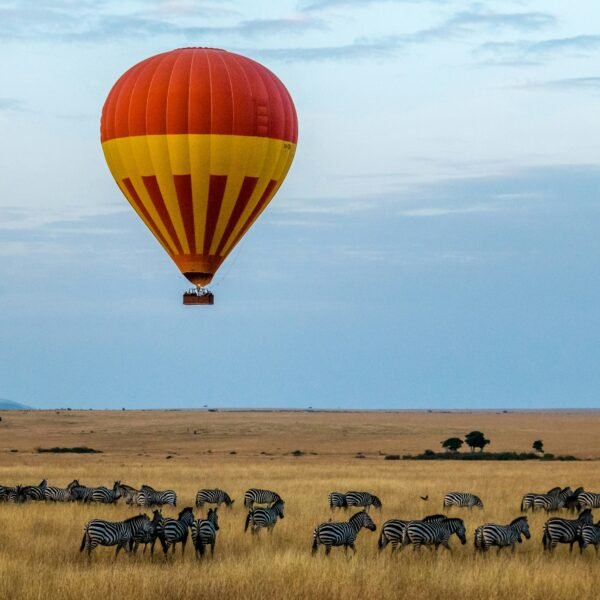 ✨ Ever dreamed of floating above Africa at sunrise?From elephants on the plains to the Great Migration thundering below — a balloon safari in Maasai Mara is adventure like no other. 🎈🌅 With Stawi Adventures, it’s not just a ride — it’s luxury, personalization & once-in-a-lifetime memories. 👉 Tap the link in bio to read our full guide & start your sky-high safari journey today. #ExploreWithStawi #BalloonSafari #LuxuryTravel #AdventureAwaits #MaasaiMara#ExploreWithStawi #BalloonSafari #MaasaiMara #KenyaSafari #LuxurySafari #LuxuryTravel #BucketListAdventures #WildlifeTravel #AdventureAwaits #TravelBeyondOrdinary #SkyHighViews #SafariDreams