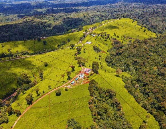 Why Book Your Tour in Kenya, with Stawi Adventures