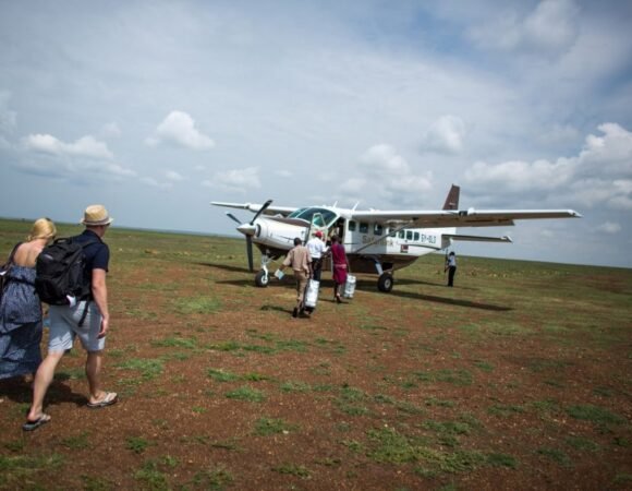 What Is a Kenya Fly In Safari?