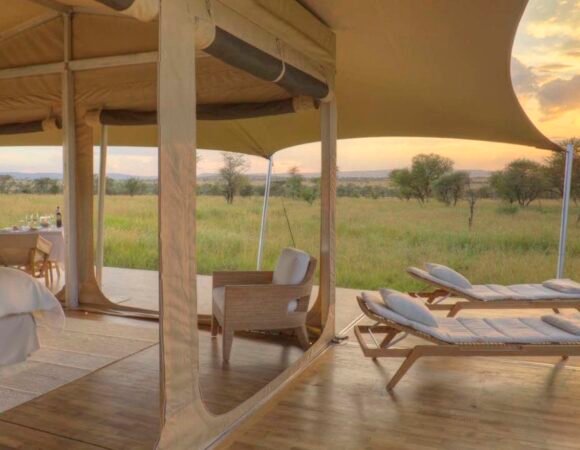 Kenya Safari Tented Camps – Nature, Comfort, and Wild Encounters