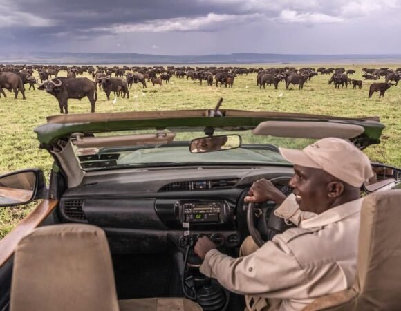 The Most Exclusive Safari Experiences in Maasai Mara in 2026