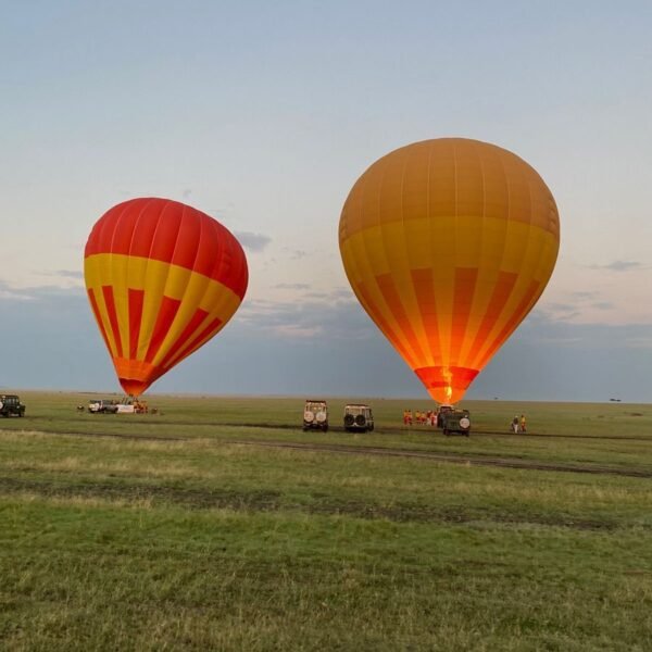 3-Day Maasai Mara Signature Luxury Safari from Nairobi