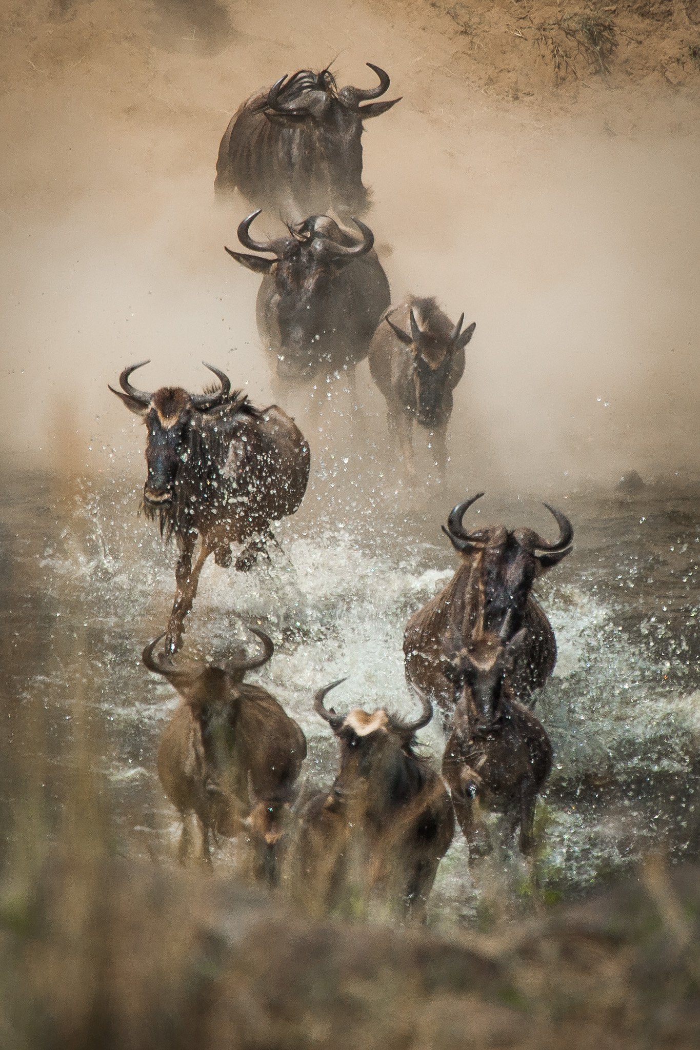3-Day Great Migration Safari in Maasai Mara with Hot Air Balloon Safari