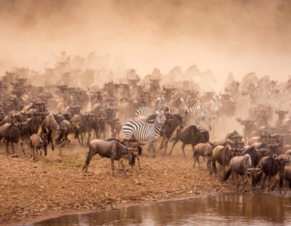 Luxury Hot Air Balloon Safaris in Maasai Mara: Everything You Need to Know